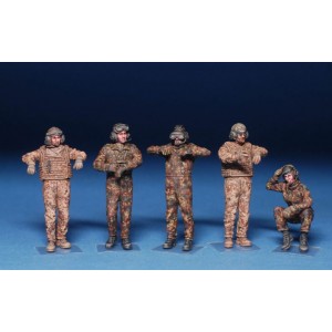 hover image